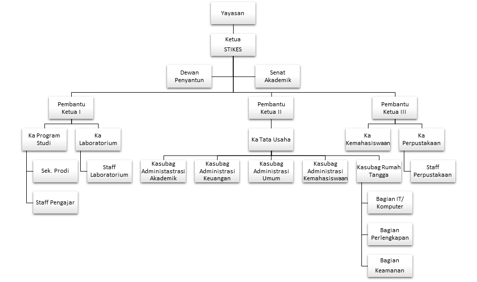 Struktur Organisasi dan Job Desk  Viniezha Rachma